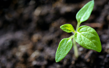 工业富联正式加入中国ESG领导者组织