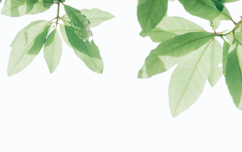 工业富联董事长李军旗：实现“双碳”目标要多角度、全链条提能效降能耗