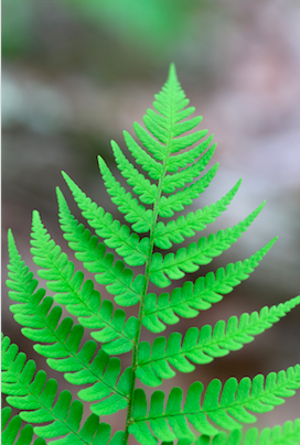 工业富联企业社会责任行为准则