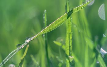 工业富联：到2050年实现价值链净零排放