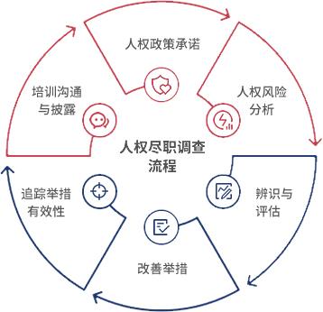 保障人权-尽职调查