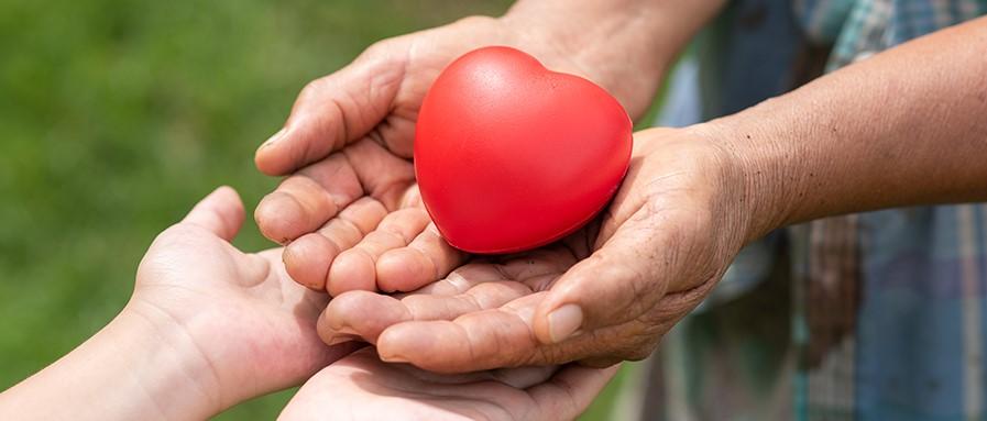 中残联一行调研工业富联郑州阳光工场