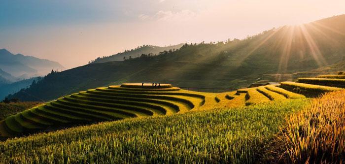 可持续发展概述