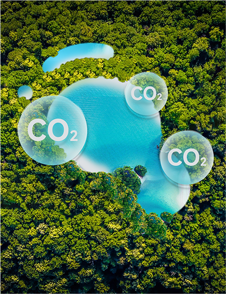 Product Carbon Footprint and Organizational Carbon Inventory