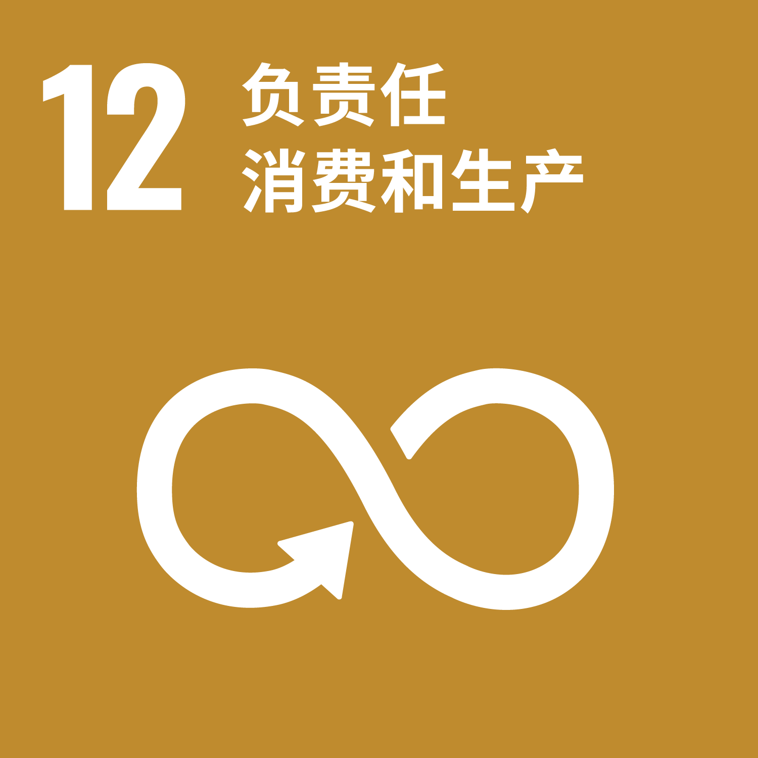 SDG12