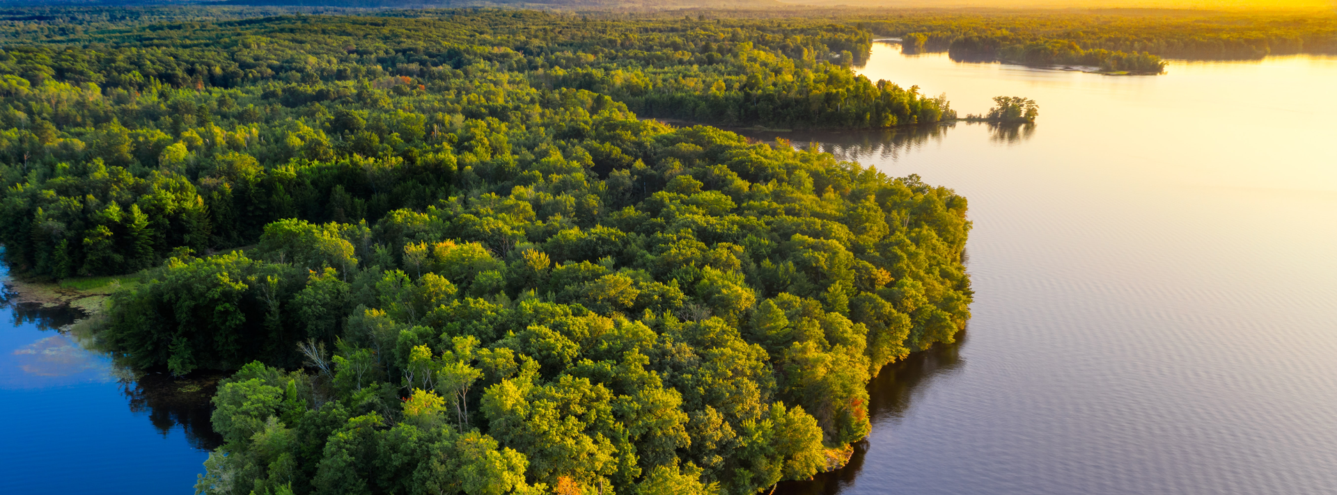 工业富联碳中和短中长期目标