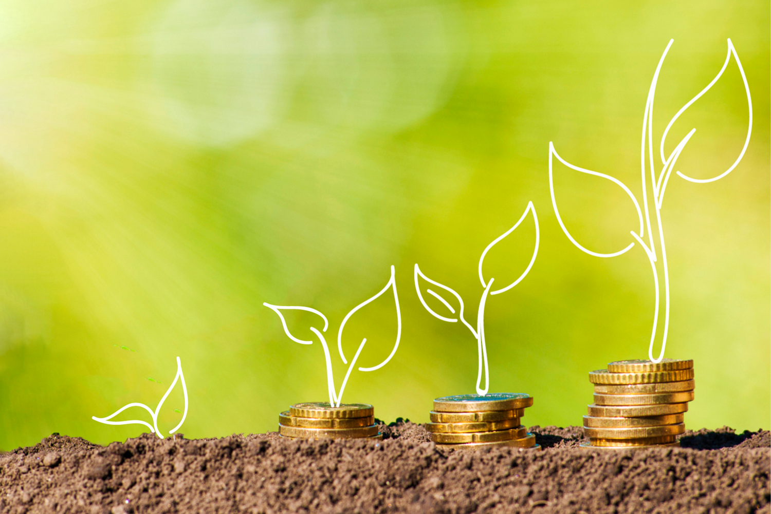 文章1(不可修改顺序)