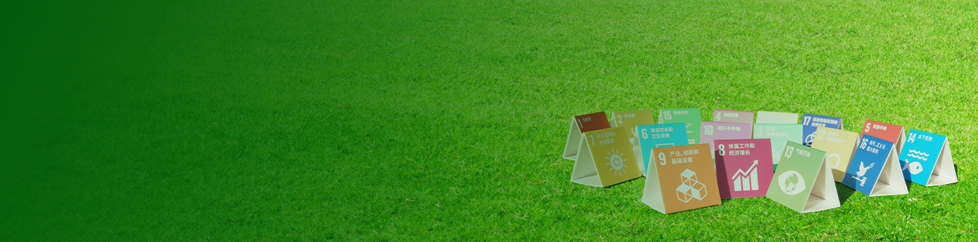 我们支持可持续发展目标
