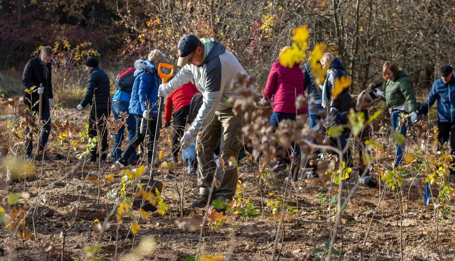 参与植树造林倡议活动